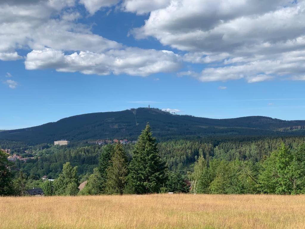 Fuehl Dich Wohl Daire Braunlage Dış mekan fotoğraf